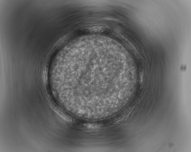 X0000097600733200803211659