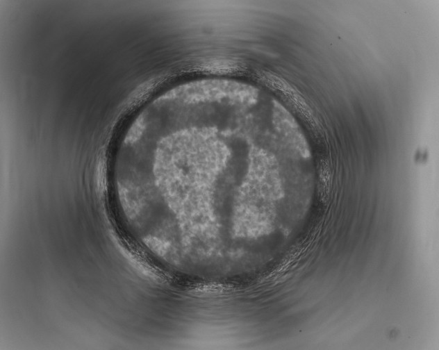 X0000097600734200803211659