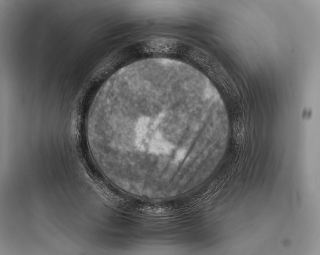 X0000097600735200803211659
