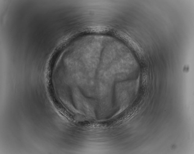 X0000097600736200803211659