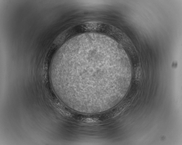 X0000097600737200803211659