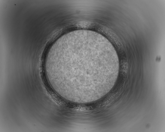 X0000097600738200803211659
