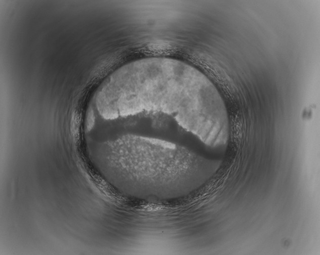 X0000097600742200803211659