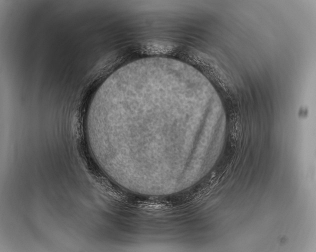 X0000097600743200803211659