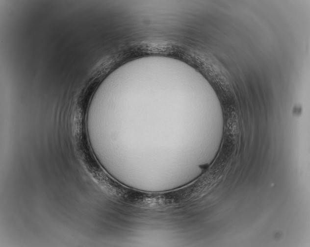 X0000097600744200803211659