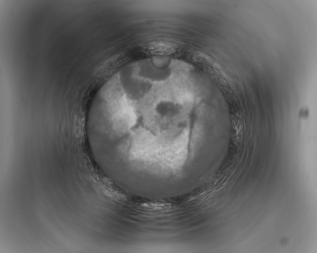 X0000097600745200803211659