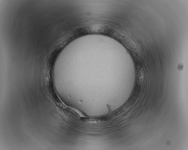 X0000097600746200803211659