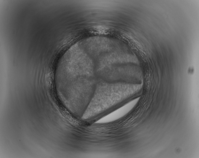 X0000097600747200803211659