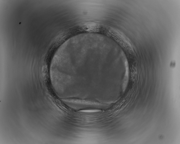 X0000097600748200803211659