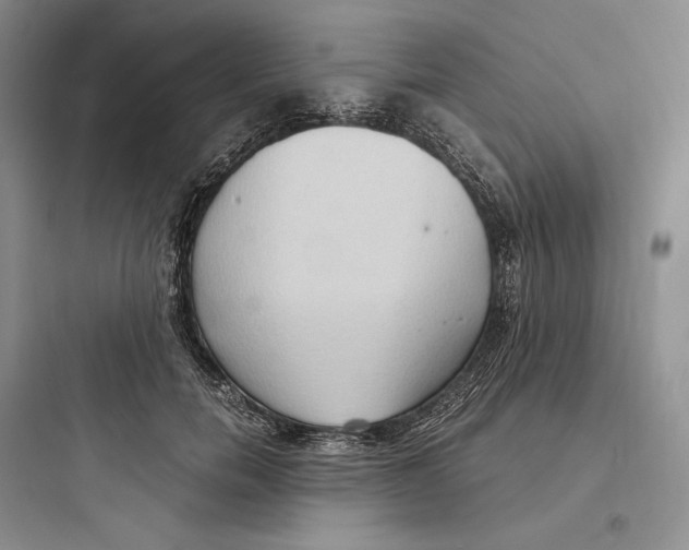 X0000097600750200803211659
