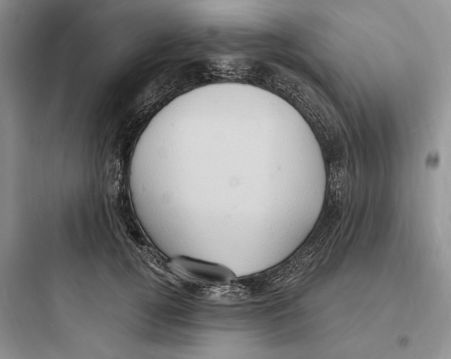 X0000097600752200803211659