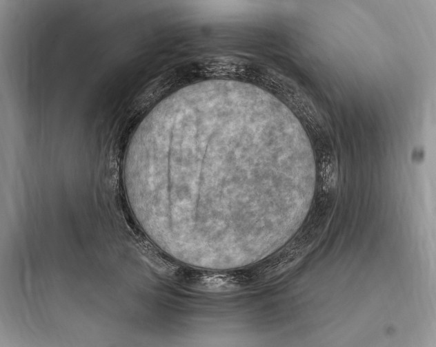 X0000097600753200803211659