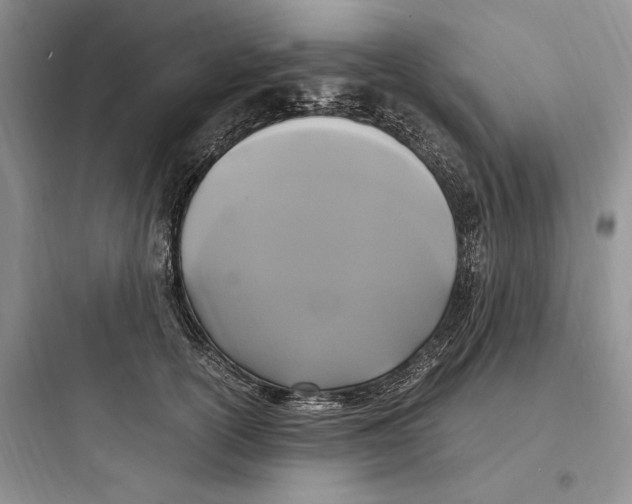 X0000097600754200803211659