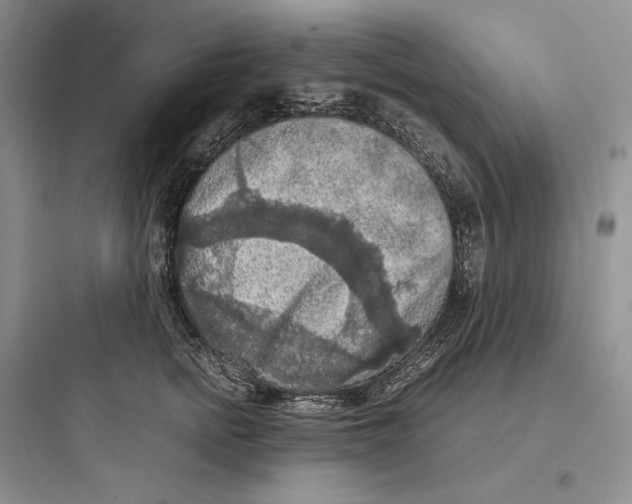 X0000097600758200803211659