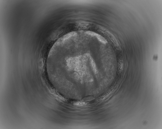 X0000097600759200803211659
