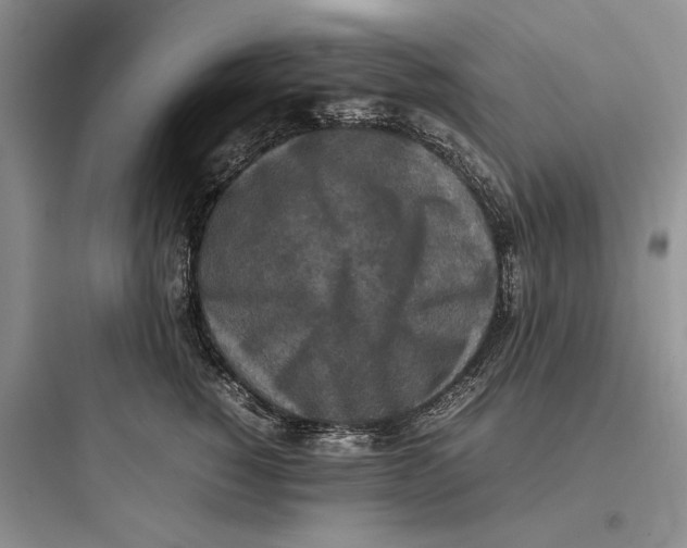 X0000097600760200803211659