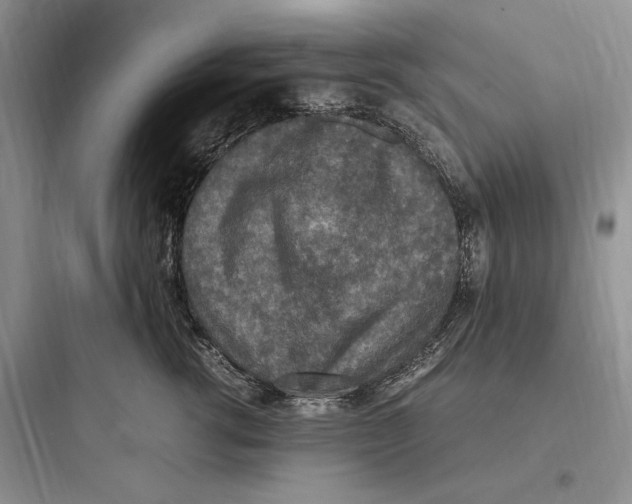 X0000097600762200803211659