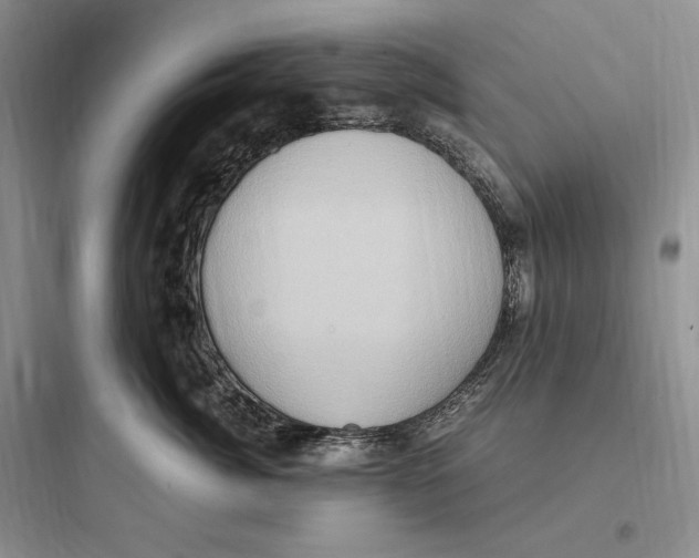 X0000097600764200803211659