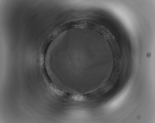 X0000097600767200803211659