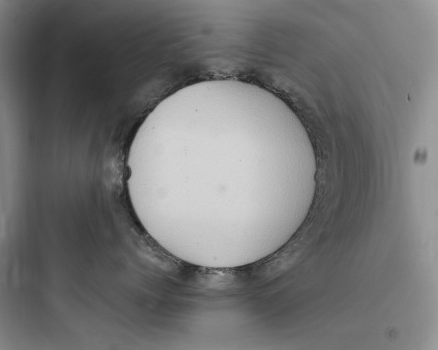X0000097600768200803211659