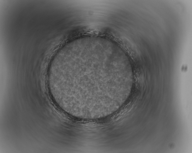 X0000097600769200803211659