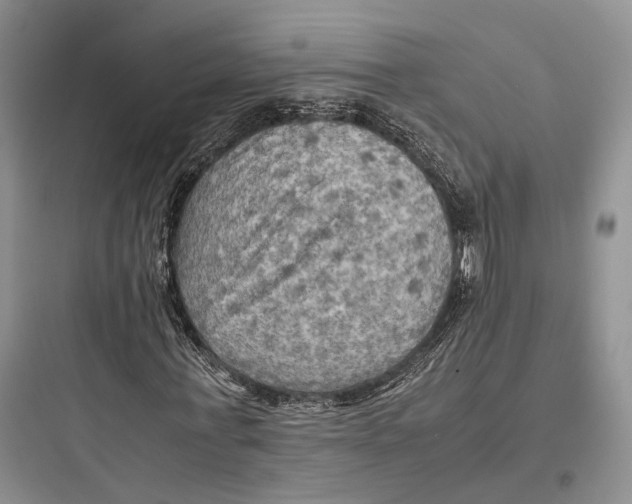 X0000097600771200803211659