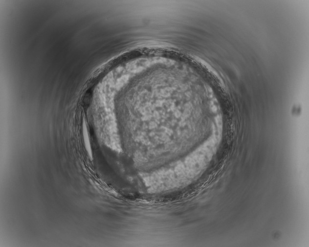 X0000097600775200803211659
