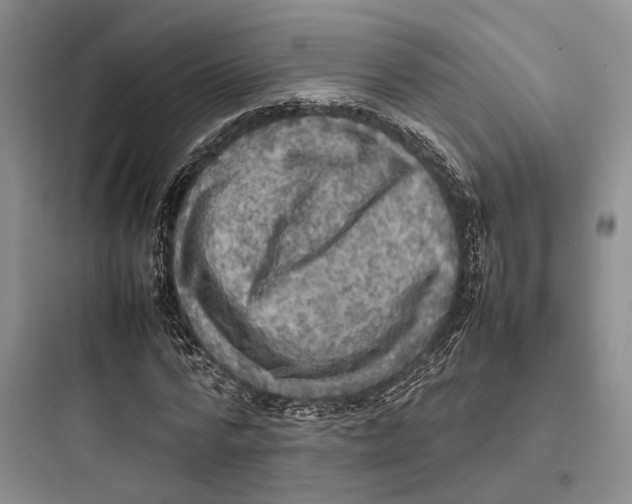 X0000097600776200803211658