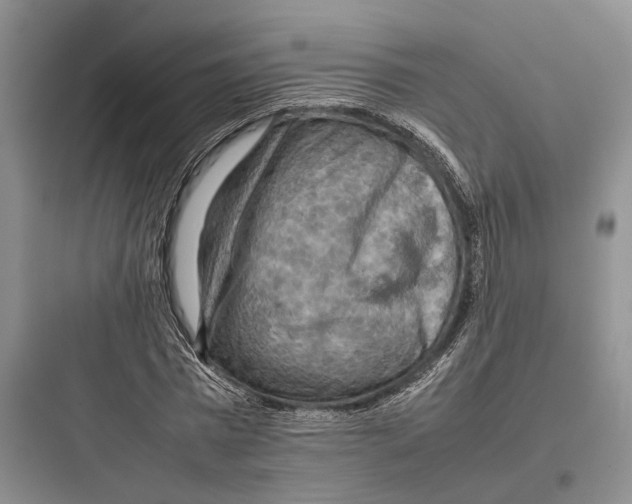 X0000097600777200803211658