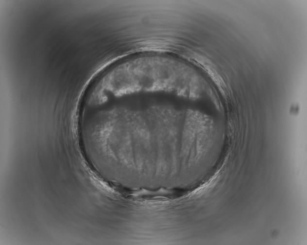 X0000097600779200803211658