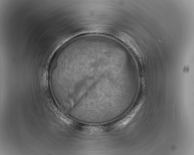 X0000097600781200803211658