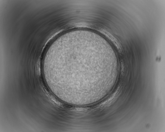X0000097600782200803211658