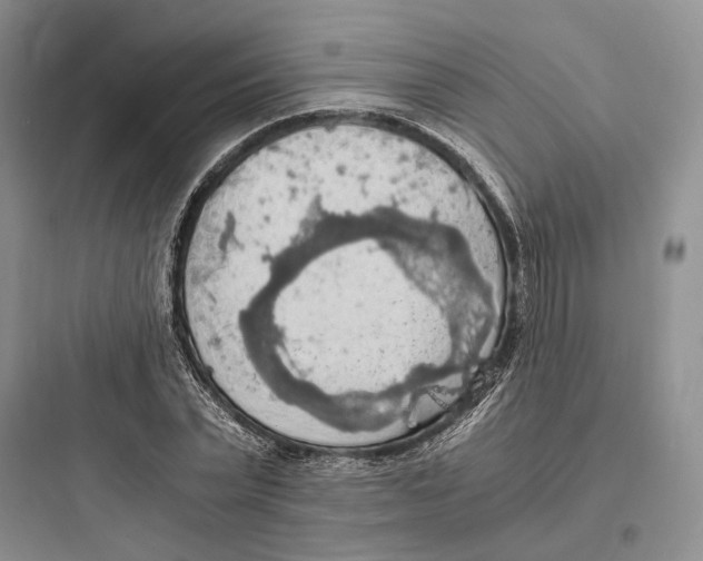 X0000097600783200803211658