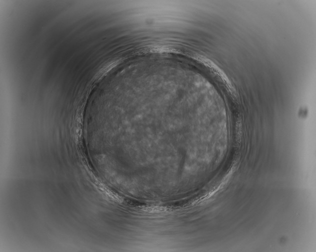 X0000097600785200803211658