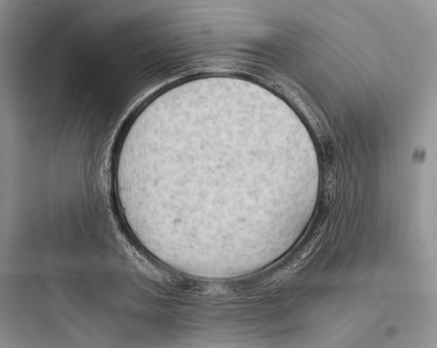 X0000097600787200803211658