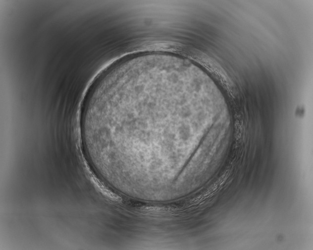 X0000097600792200803211658