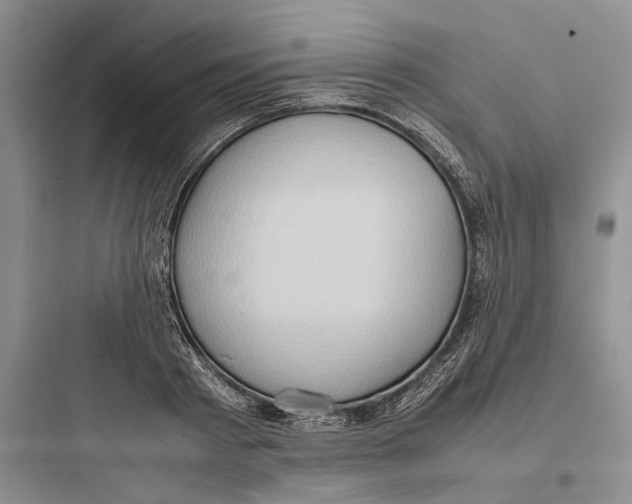 X0000097600793200803211658