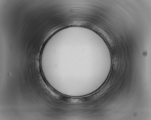 X0000097600794200803211658