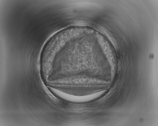 X0000097600795200803211658