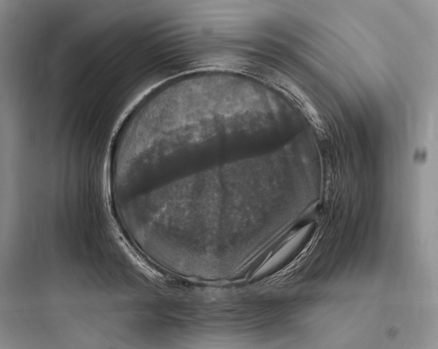X0000097600796200803211658