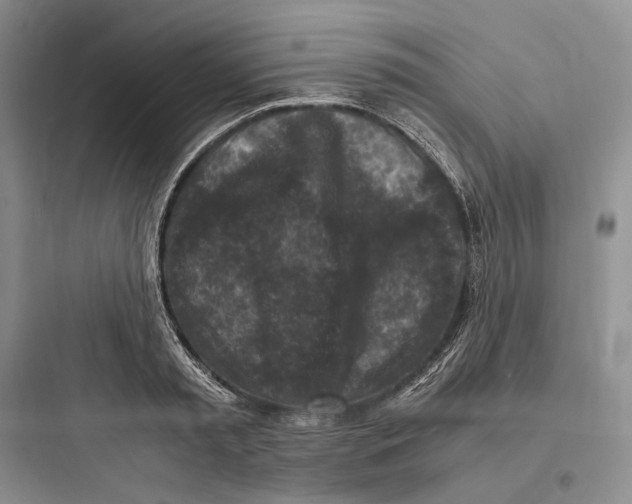 X0000097600797200803211658