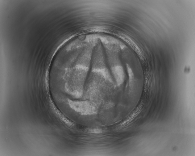 X0000097600798200803211658