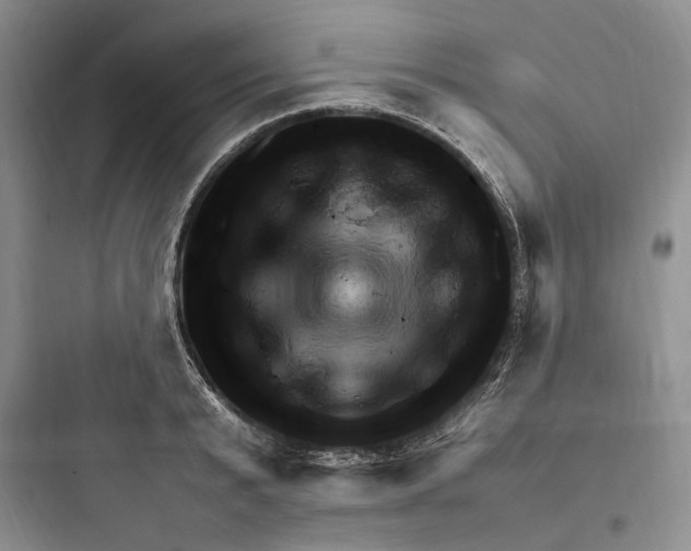 X0000097600799200803211658