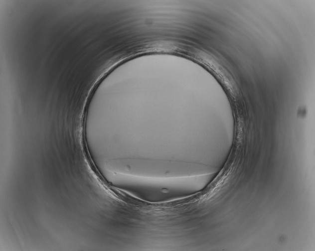 X0000097600802200803211658
