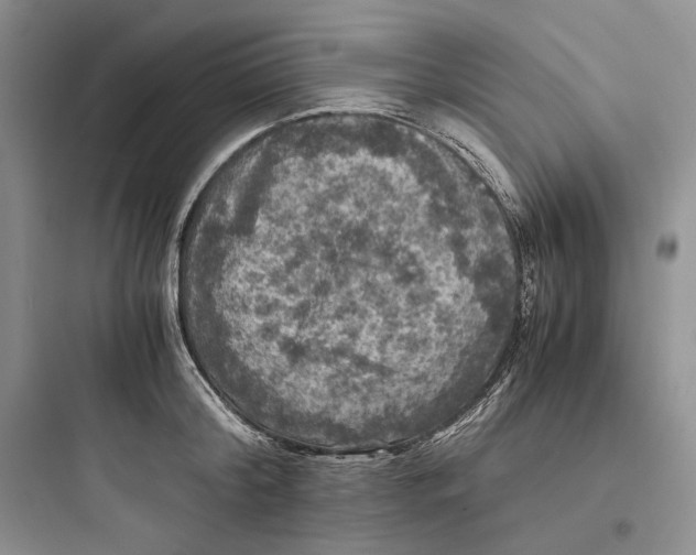 X0000097600804200803211658