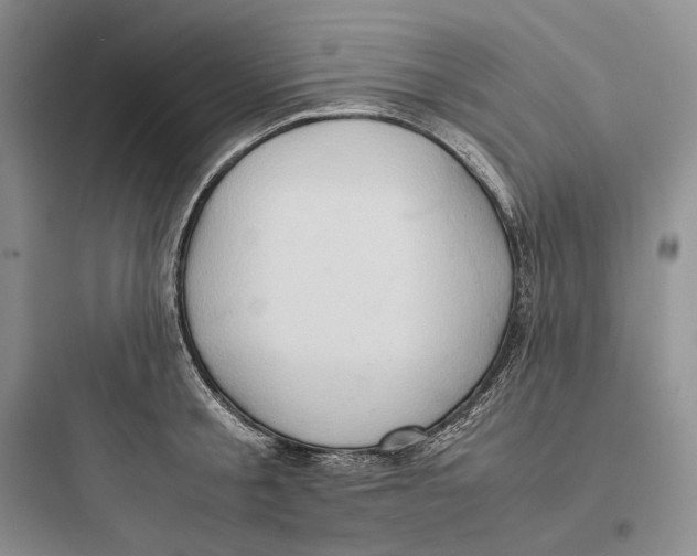 X0000097600805200803211658