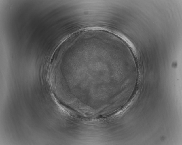 X0000097600809200803211658