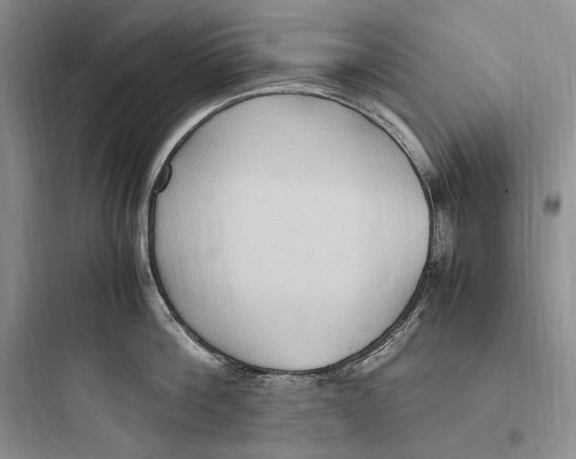 X0000097600812200803211658