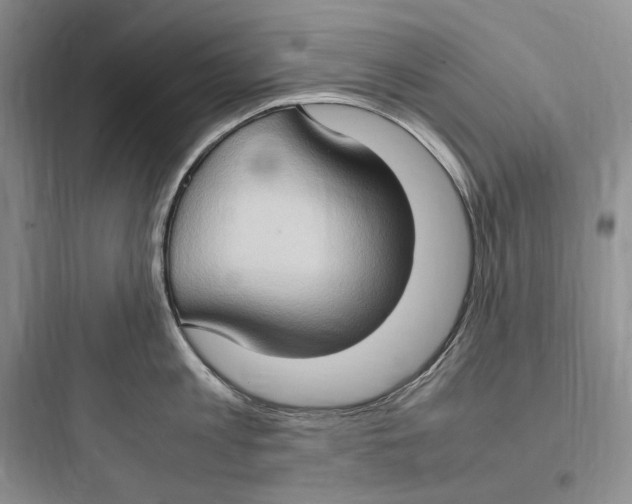 X0000097600813200803211658