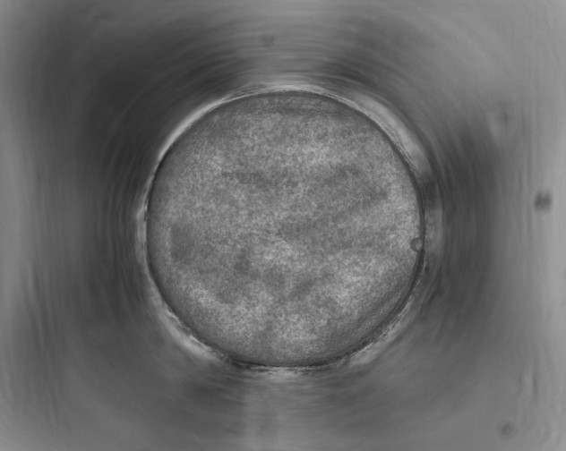 X0000097600814200803211658